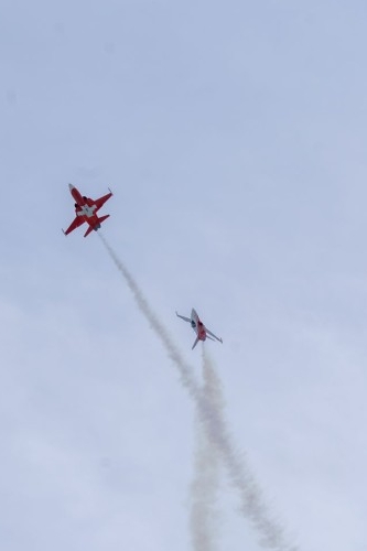 20260117-DSD09037