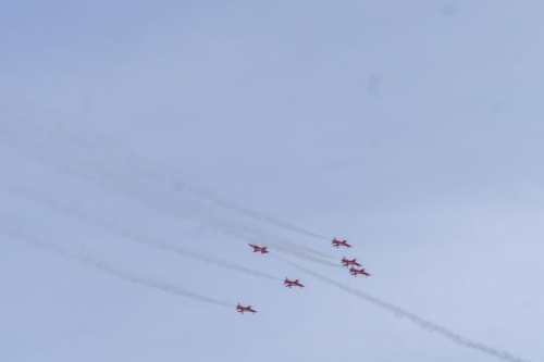20260117-DSD09080